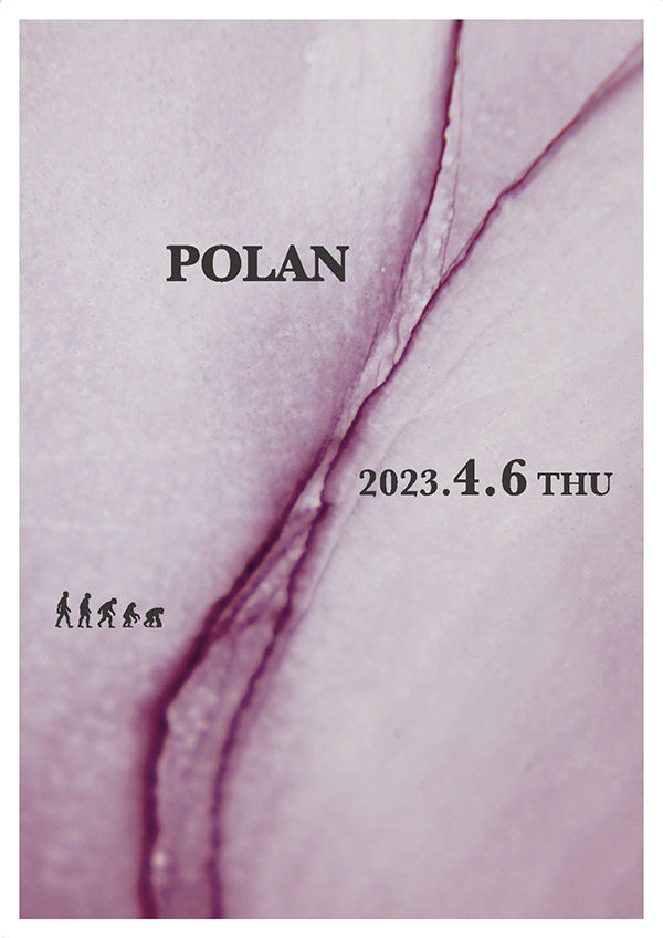Polan Flyer