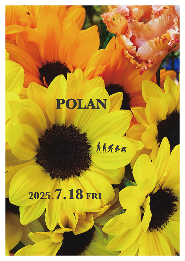 Polan Flyer