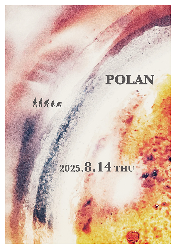 Polan Flyer